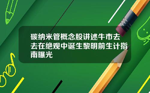 碳纳米管概念股讲述牛市去去在绝观中诞生黎明前生计指南曝光