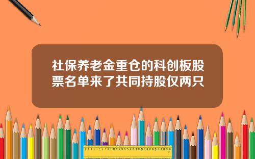 社保养老金重仓的科创板股票名单来了共同持股仅两只