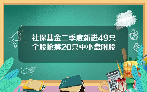 社保基金二季度新进49只个股抢筹20只中小盘附股