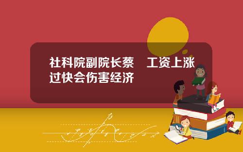 社科院副院长蔡昉工资上涨过快会伤害经济