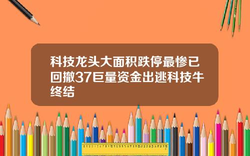 科技龙头大面积跌停最惨已回撤37巨量资金出逃科技牛终结