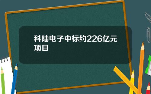 科陆电子中标约226亿元项目