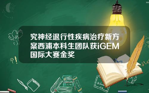 究神经退行性疾病治疗新方案西浦本科生团队获iGEM国际大赛金奖