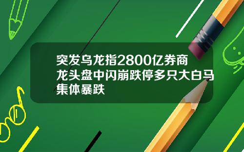 突发乌龙指2800亿券商龙头盘中闪崩跌停多只大白马集体暴跌