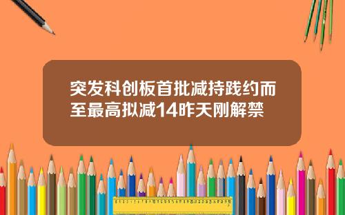 突发科创板首批减持践约而至最高拟减14昨天刚解禁
