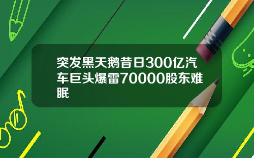 突发黑天鹅昔日300亿汽车巨头爆雷70000股东难眠