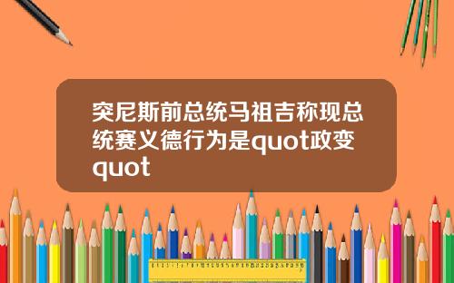 突尼斯前总统马祖吉称现总统赛义德行为是quot政变quot