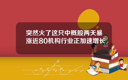 突然火了这只中概股两天暴涨近80机构行业正加速增长