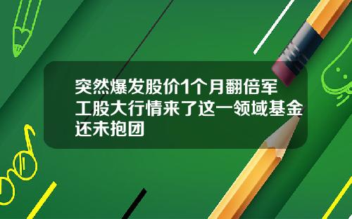 突然爆发股价1个月翻倍军工股大行情来了这一领域基金还未抱团