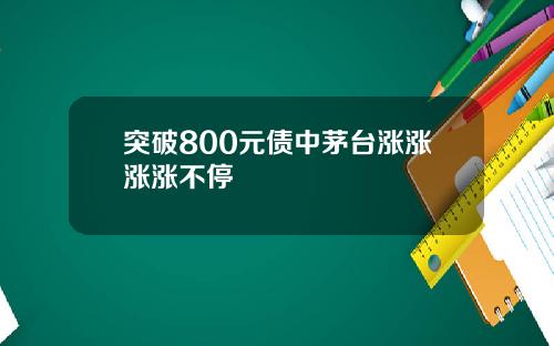 突破800元债中茅台涨涨涨涨不停
