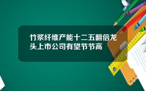 竹浆纤维产能十二五翻倍龙头上市公司有望节节高