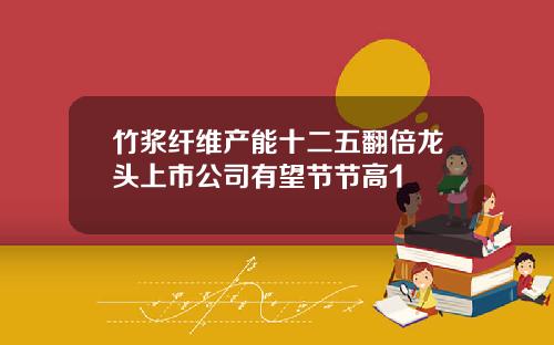 竹浆纤维产能十二五翻倍龙头上市公司有望节节高1