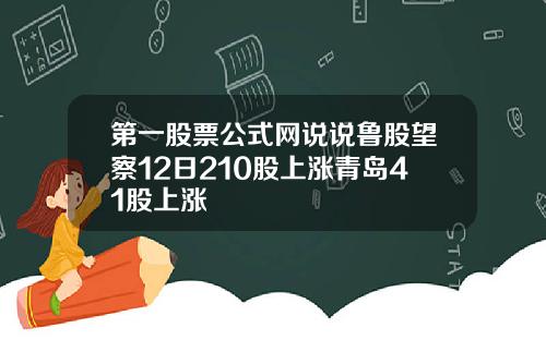 第一股票公式网说说鲁股望察12日210股上涨青岛41股上涨