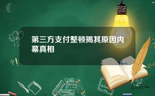 第三方支付整顿揭其原因内幕真相