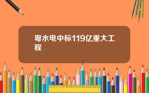 粤水电中标119亿重大工程