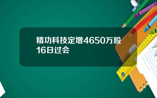 精功科技定增4650万股16日过会