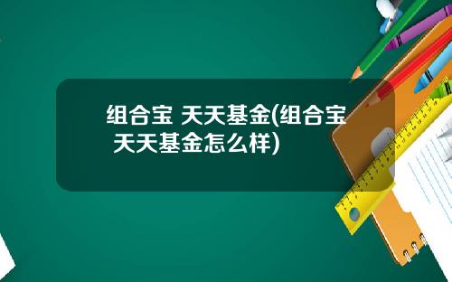 组合宝 天天基金(组合宝 天天基金怎么样)