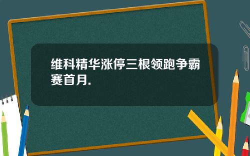 维科精华涨停三根领跑争霸赛首月.