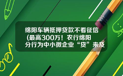 绵阳车辆抵押贷款不看征信 (最高300万！农行绵阳分行为中小微企业“贷”来及时雨)