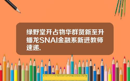 绿野堂开占物华群贤新至升蟠龙SNAI金融系新进教师速递.