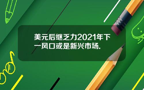 美元后继乏力2021年下一风口或是新兴市场.