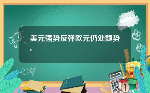 美元强势反弹欧元仍处颓势.