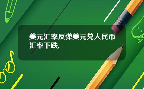 美元汇率反弹美元兑人民币汇率下跌.