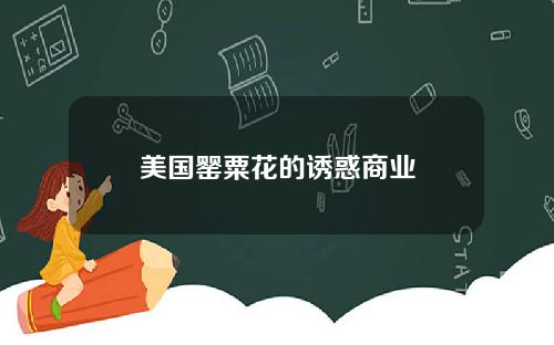 美国罂粟花的诱惑商业