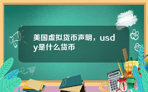 美国虚拟货币声明，usdy是什么货币