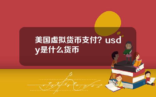 美国虚拟货币支付？usdy是什么货币