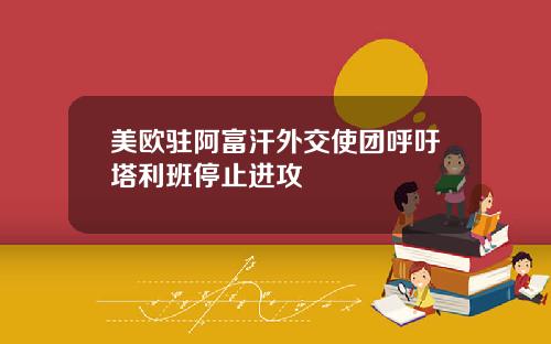 美欧驻阿富汗外交使团呼吁塔利班停止进攻