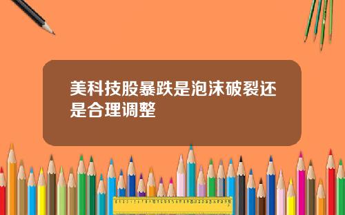 美科技股暴跌是泡沫破裂还是合理调整