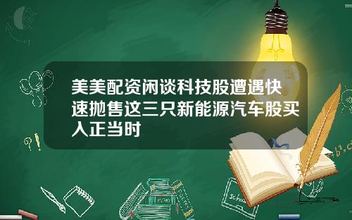 美美配资闲谈科技股遭遇快速抛售这三只新能源汽车股买入正当时