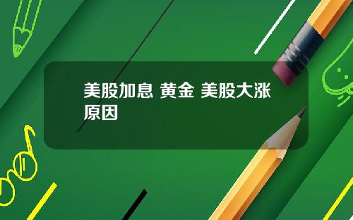美股加息 黄金 美股大涨原因