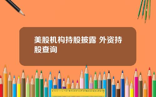 美股机构持股披露 外资持股查询