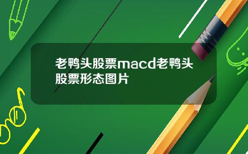 老鸭头股票macd老鸭头股票形态图片