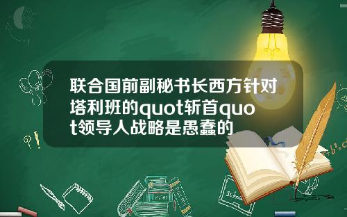 联合国前副秘书长西方针对塔利班的quot斩首quot领导人战略是愚蠢的