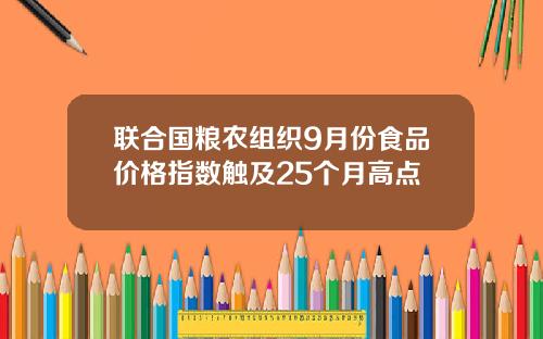 联合国粮农组织9月份食品价格指数触及25个月高点