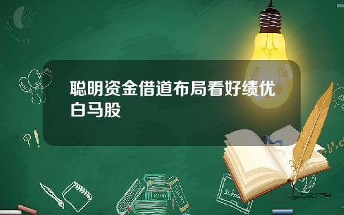 聪明资金借道布局看好绩优白马股