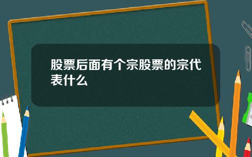 股票后面有个宗股票的宗代表什么
