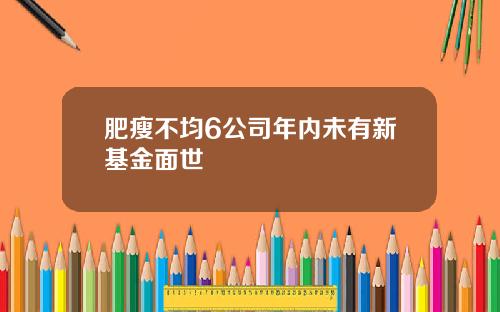 肥瘦不均6公司年内未有新基金面世