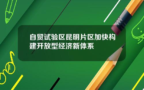 自贸试验区昆明片区加快构建开放型经济新体系