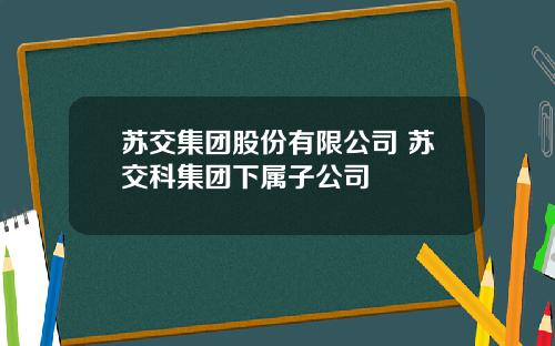 苏交集团股份有限公司 苏交科集团下属子公司