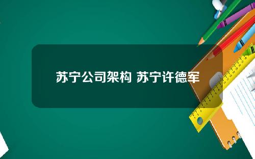 苏宁公司架构 苏宁许德军