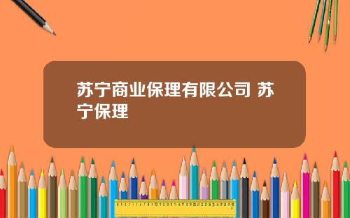 苏宁商业保理有限公司 苏宁保理