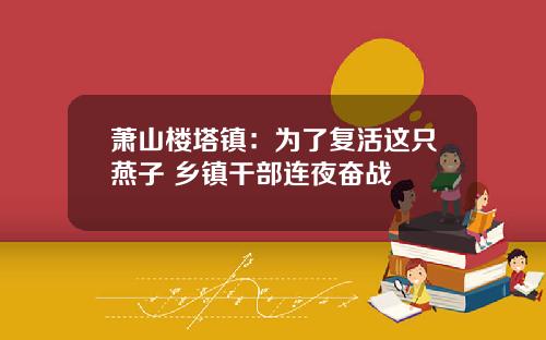 萧山楼塔镇：为了复活这只燕子 乡镇干部连夜奋战