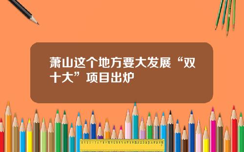 萧山这个地方要大发展“双十大”项目出炉