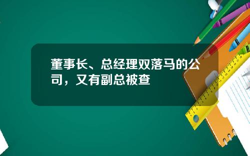董事长、总经理双落马的公司，又有副总被查