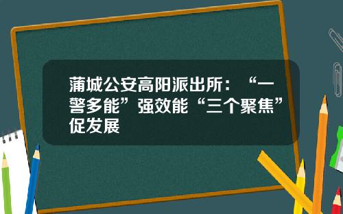 蒲城公安高阳派出所：“一警多能”强效能“三个聚焦”促发展