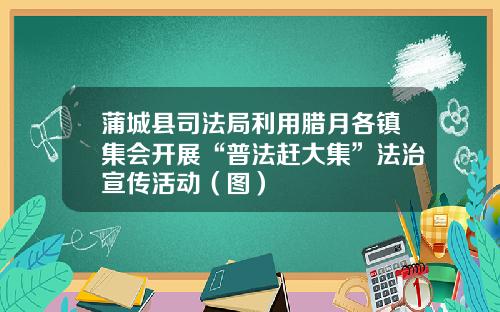蒲城县司法局利用腊月各镇集会开展“普法赶大集”法治宣传活动（图）